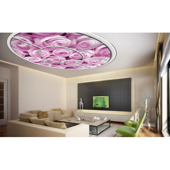 Fototapeta - FT0268 - Oválne okno - ružové ruže