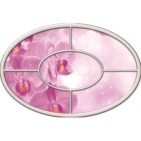 Fototapeta - FT0269 - Oválne okno - ružová orchidea