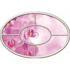 Fototapeta - FT0269 - Oválne okno - ružová orchidea