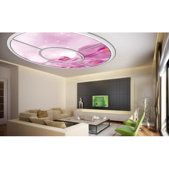 Fototapeta - FT0269 - Oválne okno - ružová orchidea