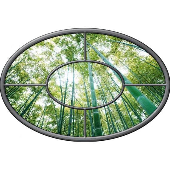 Fototapeta - FT0270 - Oválne okno - bambusový les