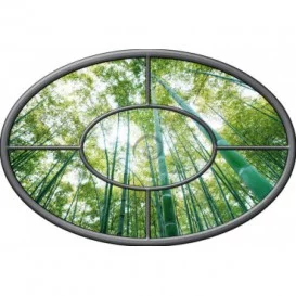 Fototapeta - FT0270 - Oválne okno - bambusový les