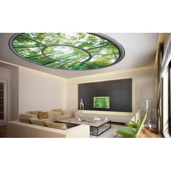 Fototapeta - FT0270 - Oválne okno - bambusový les