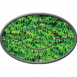 Fototapeta - FT0271 - Oválne okno - brečtanové listy