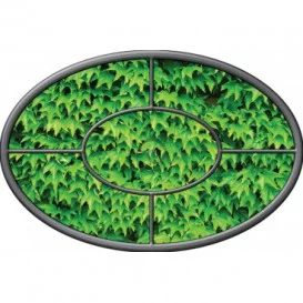 Fototapeta - FT0271 - Oválne okno - brečtanové listy