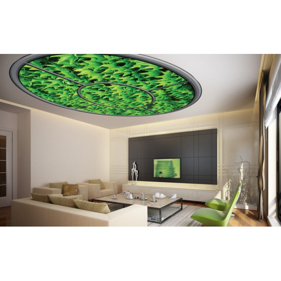 Fototapeta - FT0271 - Oválne okno - brečtanové listy