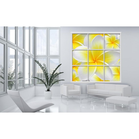 Fototapeta - FT0272 - Štvorcové okno - žltobiely kvet