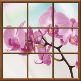 Fototapeta - FT0273 - Štvorcové okno - ružová orchidea