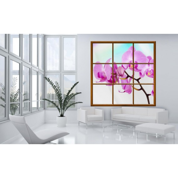 Fototapeta - FT0273 - Štvorcové okno - ružová orchidea