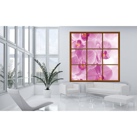 Fototapeta - FT0275 - Štvorcové okno - ružová orchidea