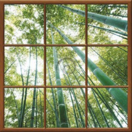 Fototapeta - FT0276 - Štvorcové okno - bambusový les