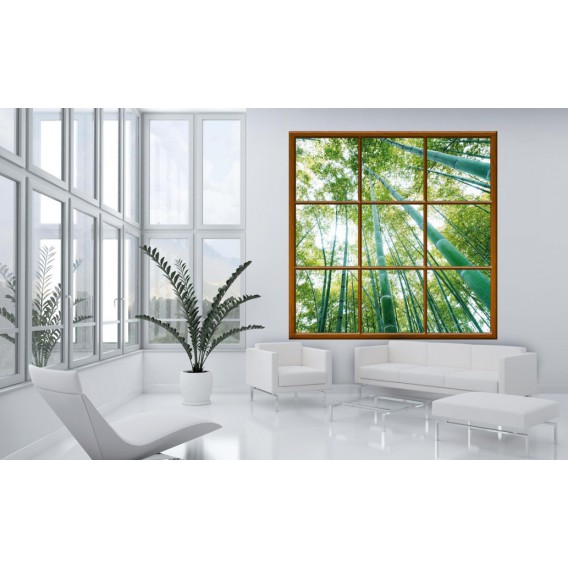 Fototapeta - FT0276 - Štvorcové okno - bambusový les