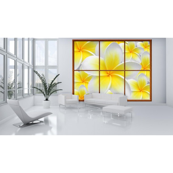 Fototapeta - FT0278 - Obdĺžnikové okno - žltobiely kvet