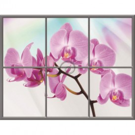 Fototapeta - FT0279 - Obdĺžnikové okno - ružová orchidea