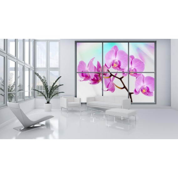 Fototapeta - FT0279 - Obdĺžnikové okno - ružová orchidea