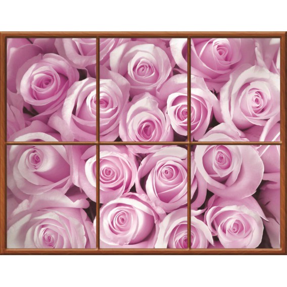 Fototapeta - FT0280 - Obdĺžnikové okno - ružové ruže