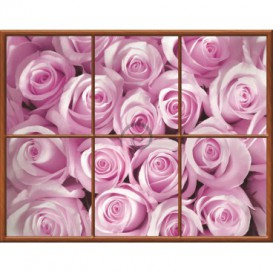 Fototapeta - FT0280 - Obdĺžnikové okno - ružové ruže