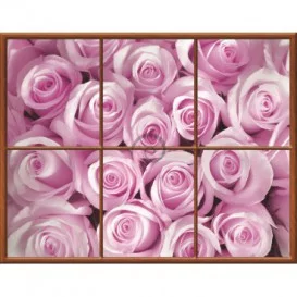 Fototapeta - FT0280 - Obdĺžnikové okno - ružové ruže