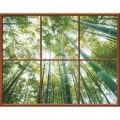 Fototapeta - FT0282 - Obdĺžnikové okno - bambusový les