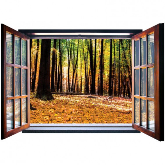 Fototapeta - FT5578 - Okno - jesenný les