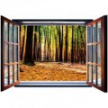 Fototapeta - FT5578 - Okno - jesenný les
