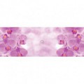Rohová fototapeta - FT5619 - Fialové orchidey