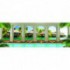 Rohová fototapeta - FT5625 - Tropické domčeky - výhľad