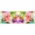 Rohová fototapeta - FT5630 - Farebné kvety