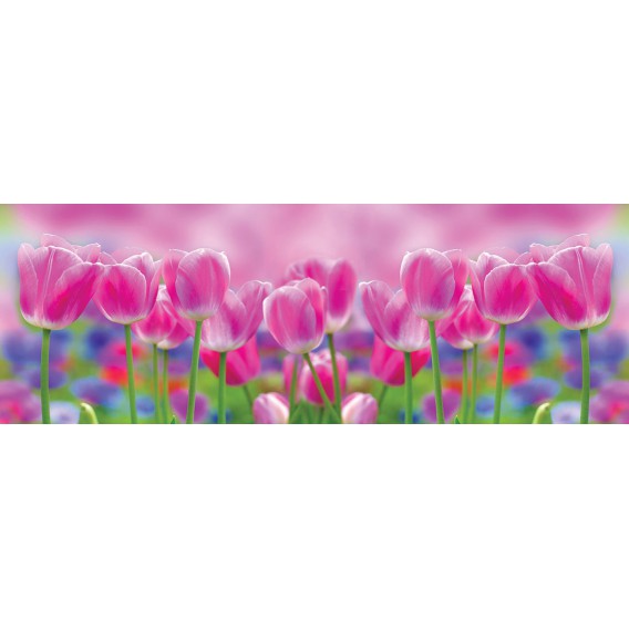 Rohová fototapeta - FT5633 - Fialové tulipány