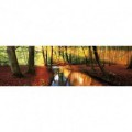 Rohová fototapeta - FT5636 - Jesenný les