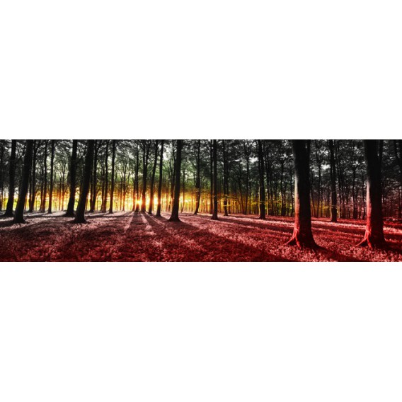 Rohová fototapeta - FT4033 - Slnko prenikajúce lesom