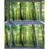Rohová fototapeta - FT5653 - Zelený les - výhľad