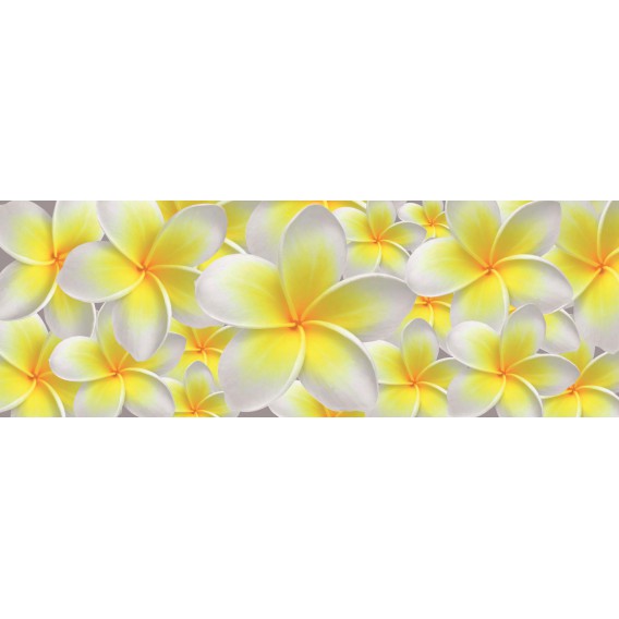 Rohová fototapeta - FT0222 - Žlto biele kvety