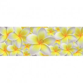 Rohová fototapeta - FT0222 - Žlto biele kvety