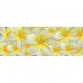 Rohová fototapeta - FT0222 - Žlto biele kvety
