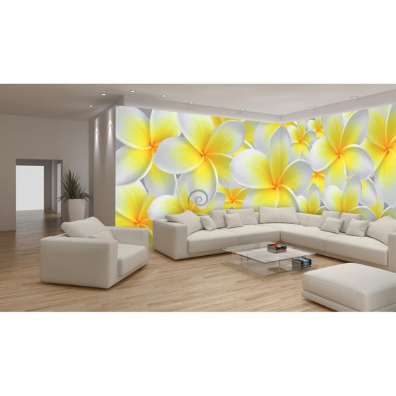 Rohová fototapeta - FT0222 - Žlto biele kvety