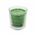 Palmová sviečka v skle zelený čaj