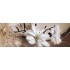 Samolepiaca bordúra Kvety BO5036 10,6cmx5m
