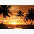 Fototapeta - FT6103 - Západ slnka medzi palmami