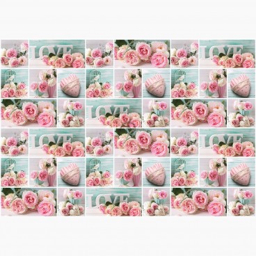 Fototapeta - FT6213 - Ružové ruže