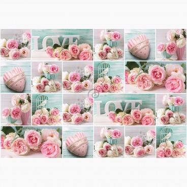 Fototapeta - FT6214 - Ružové ruže