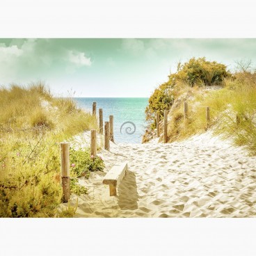 Fototapeta - FT6713 - Chodník na pláž
