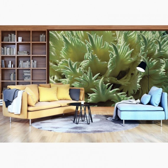 Fototapeta - FT6739 - Žlté listy