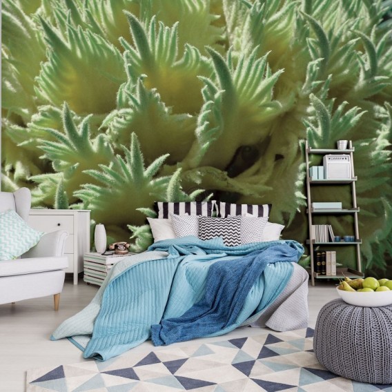 Fototapeta - FT6739 - Žlté listy