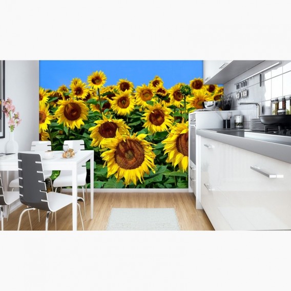 Fototapeta - FT7032 - Slnečnice