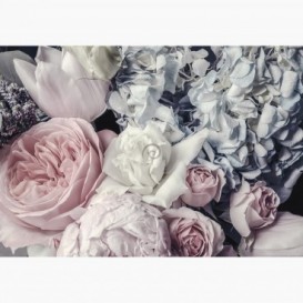 Fototapeta - FT7113 - Ružové a biele kvety
