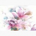 Fototapeta - FT7156 - Bielo-ružové kvety maľba