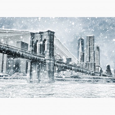 Fototapeta - FT7274 - Zamrznutý New York