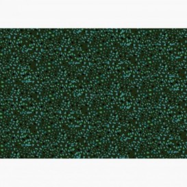 Fototapeta - FT7320 - Textura kamene zeleno-modrá