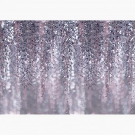 Fototapeta - FT7363 - Fialové visiace kvety